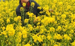 WRITEAS塞东西不能掉